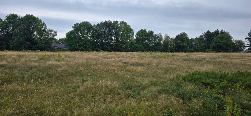 Photo of Lot 20-54 Butters Drive, Norway, ME 04268 (MLS # 1680015)
