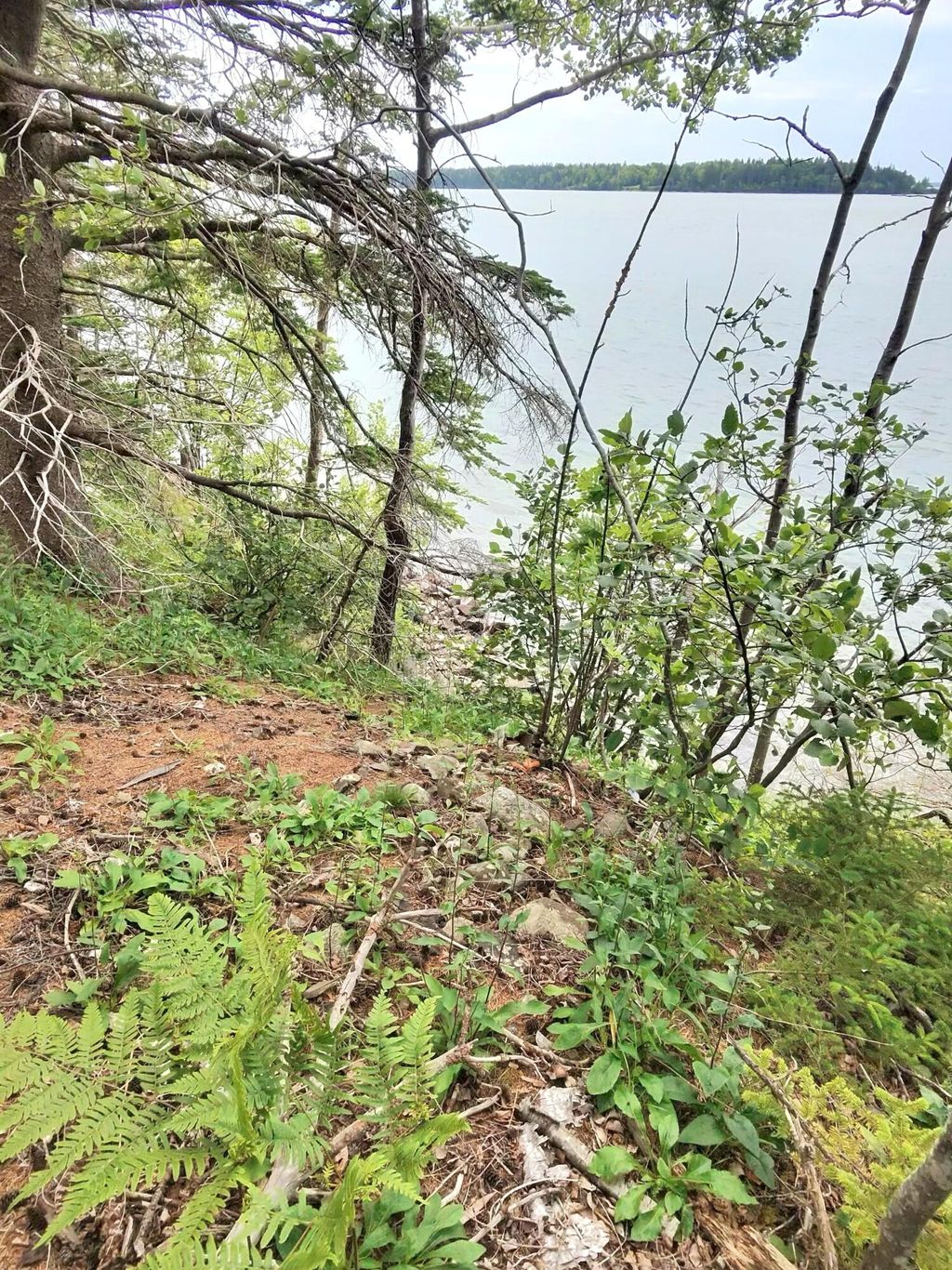 Photo of 1 Sunset Drive, Eastport, ME 04631 (MLS # 1672302)