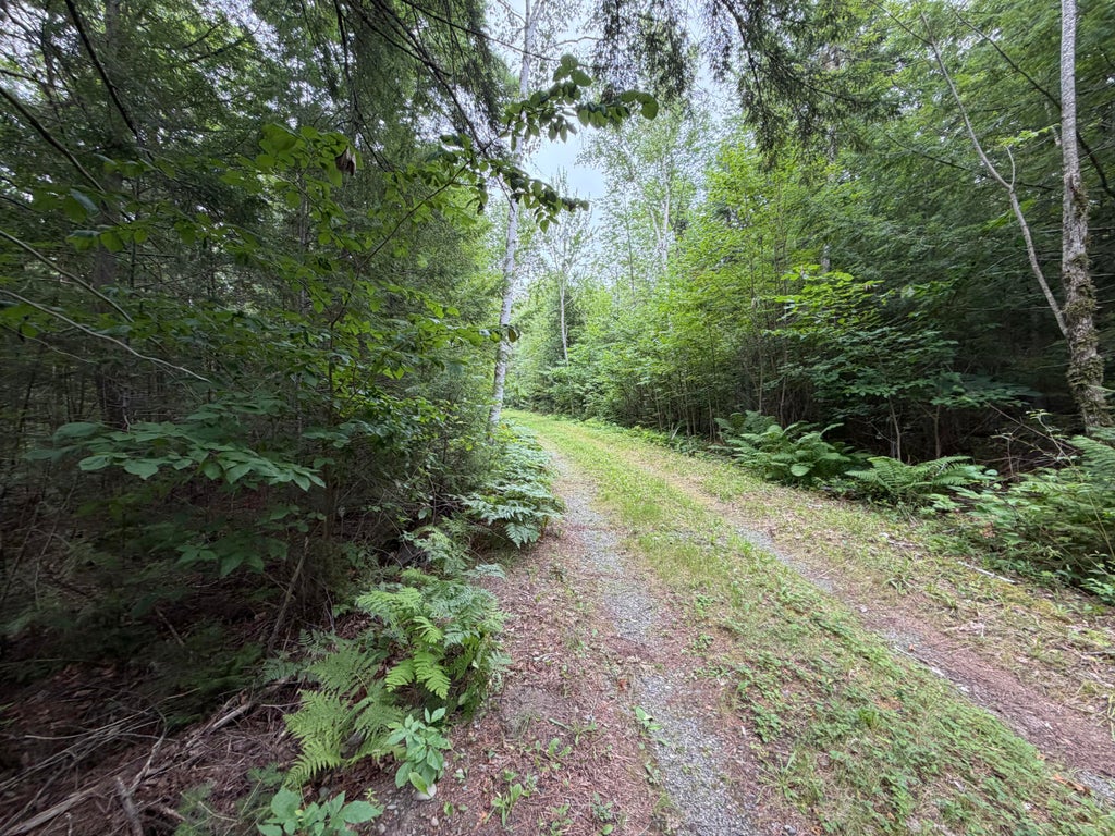 Photo of L21 Huff Road, Danforth, ME 04424 (MLS # 1676348)