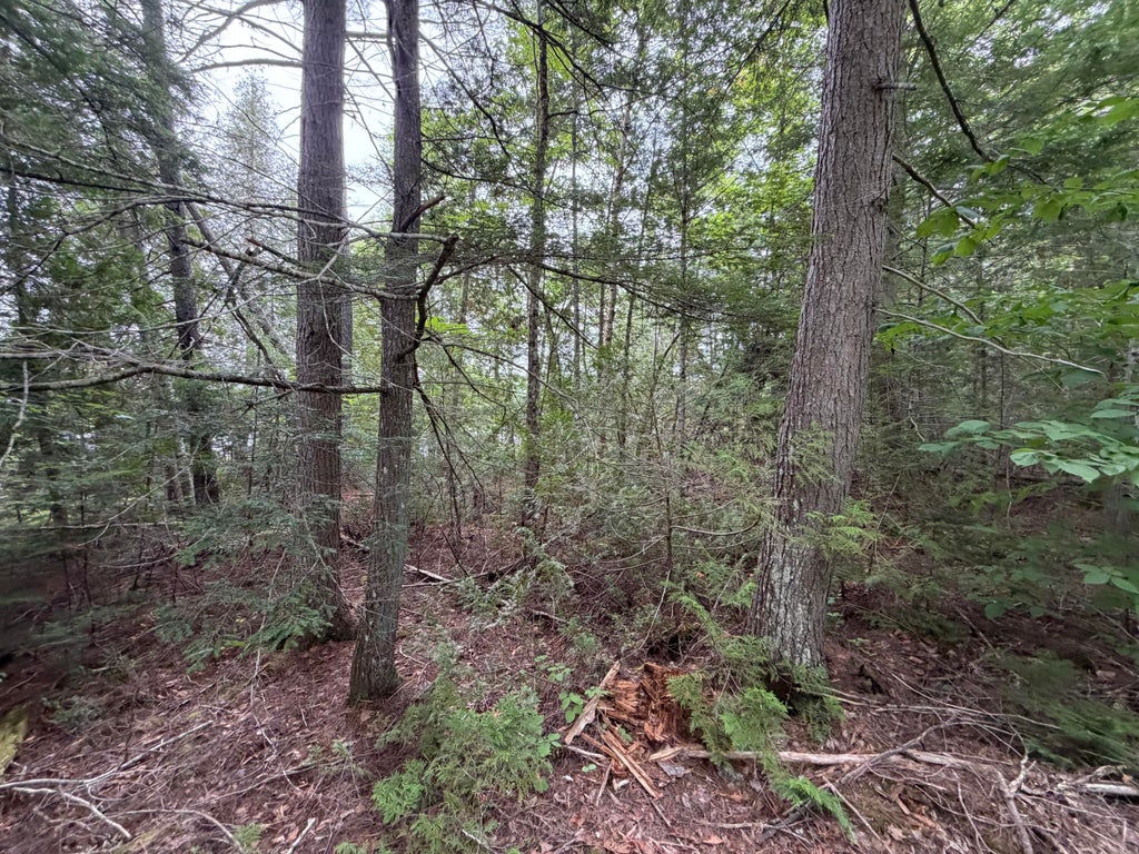 Photo of L21 Huff Road, Danforth, ME 04424 (MLS # 1676348)