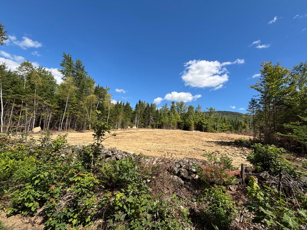 Photo of Lot 07 Brown Neighborhood Road, Weld, ME 04285 (MLS # 1678388)