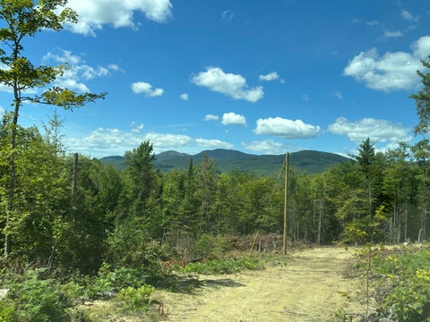 Photo of Lot 07 Brown Neighborhood Road, Weld, ME 04285 (MLS # 1678388)
