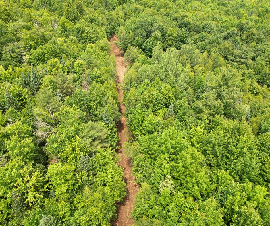 Photo of MR7 L31&amp;37 Taylor Hill Road, New Vineyard, ME 04956 (MLS # 1640668)