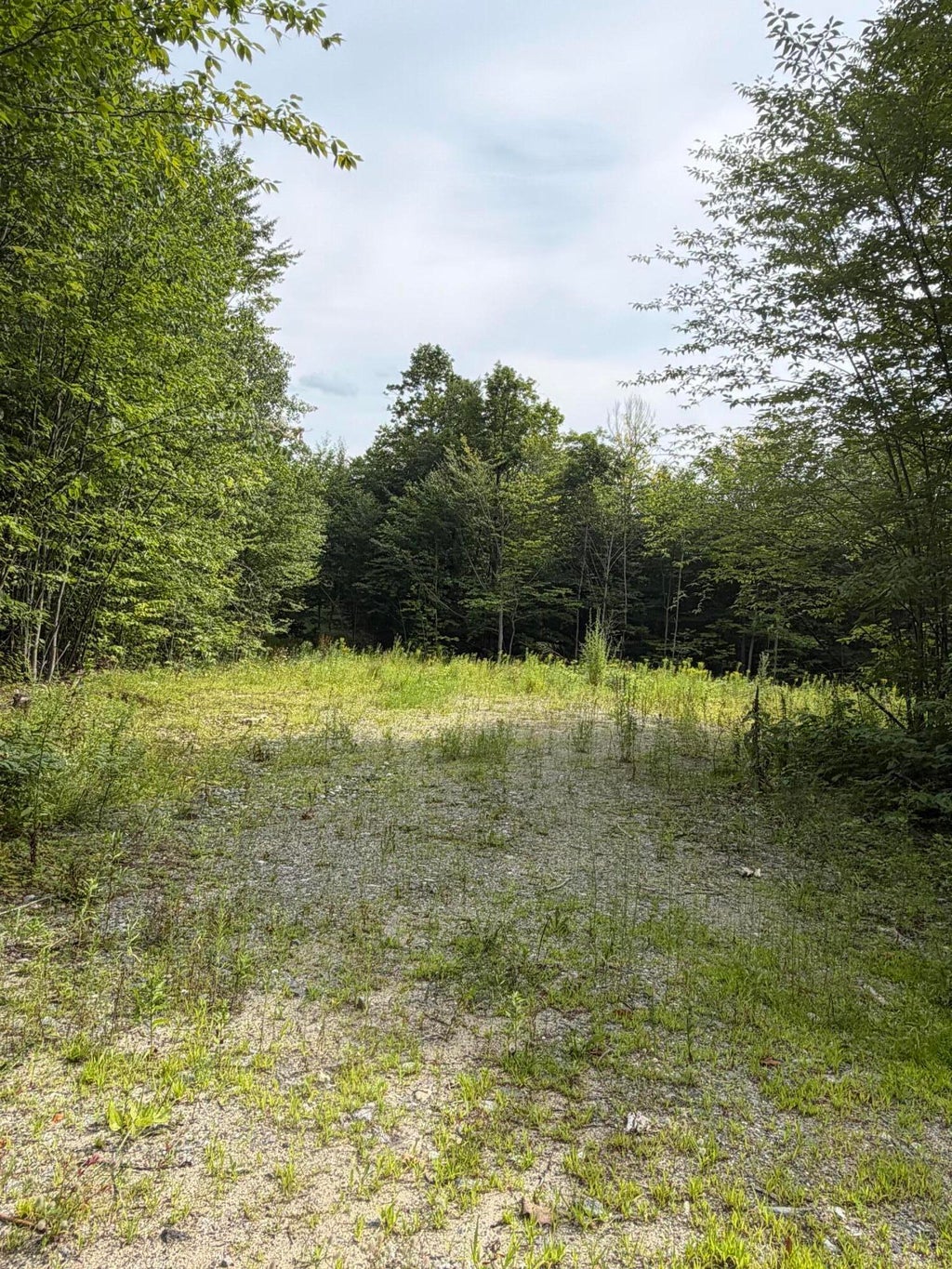 Photo of Lot 60&amp;116 Plaisted Road, Jay, ME 04239 (MLS # 1674896)