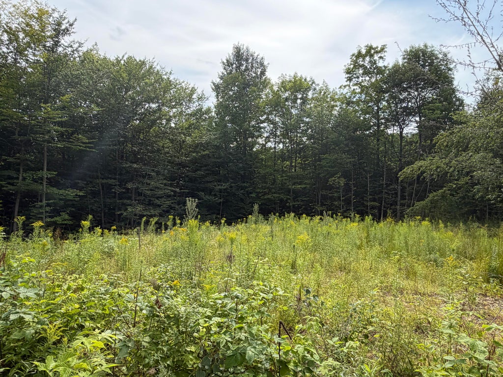Photo of Lot 60&amp;116 Plaisted Road, Jay, ME 04239 (MLS # 1674896)