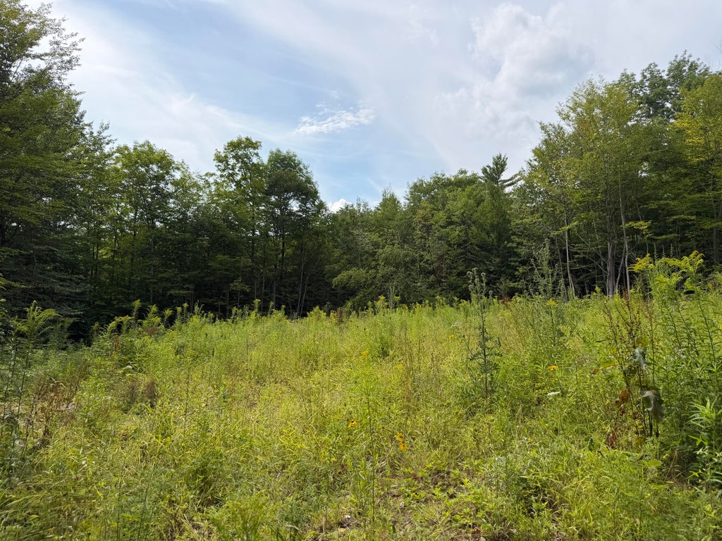 Photo of Lot 60&amp;116 Plaisted Road, Jay, ME 04239 (MLS # 1674896)