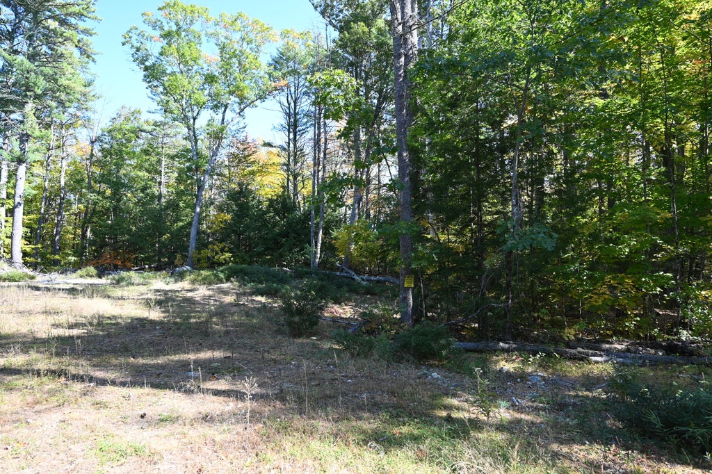 Photo of 411 Middle Road, Standish, ME 04084 (MLS # 1683808)
