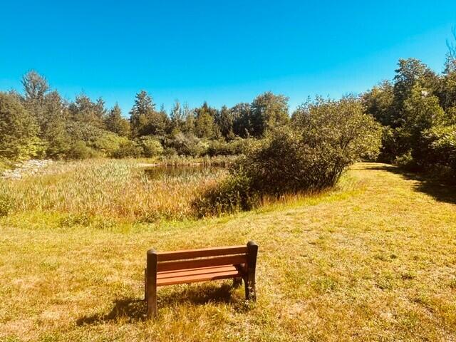 Photo of 54 Jessica Way, Poland, ME 04274 (MLS # 1673342)