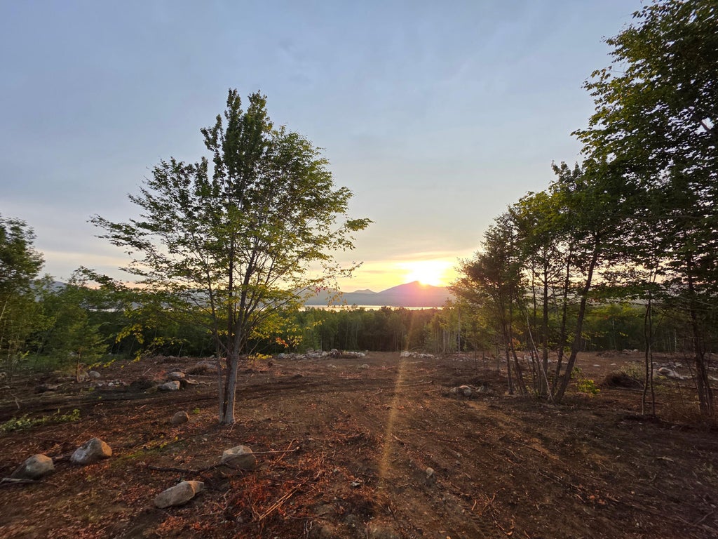 Photo of Lot 13 Lake View Road, Weld, ME 04285 (MLS # 1671273)