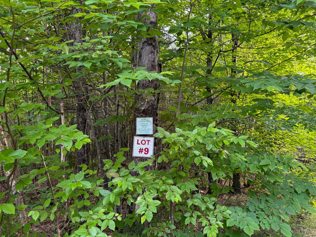 Photo of 226 Western View Lane, Rumford, ME 04276 (MLS # 1670057)