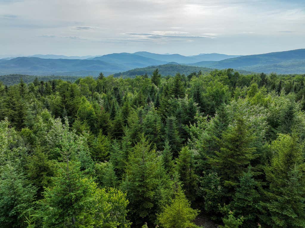 Photo of 226 Western View Lane, Rumford, ME 04276 (MLS # 1670057)