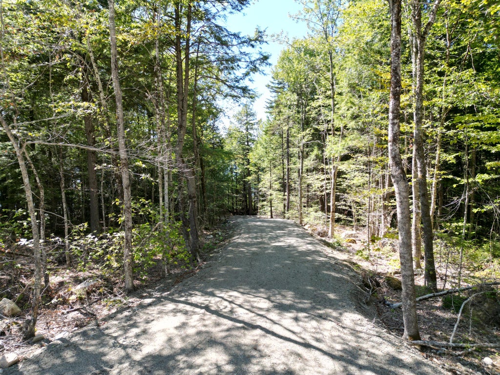 Photo of 30 Merganser Lane, Lincoln, ME 04457 (MLS # 1678708)