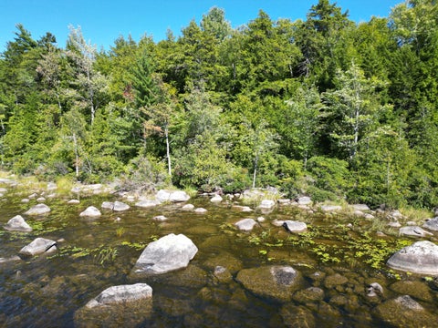 Photo of 30 Merganser Lane, Lincoln, ME 04457 (MLS # 1678708)