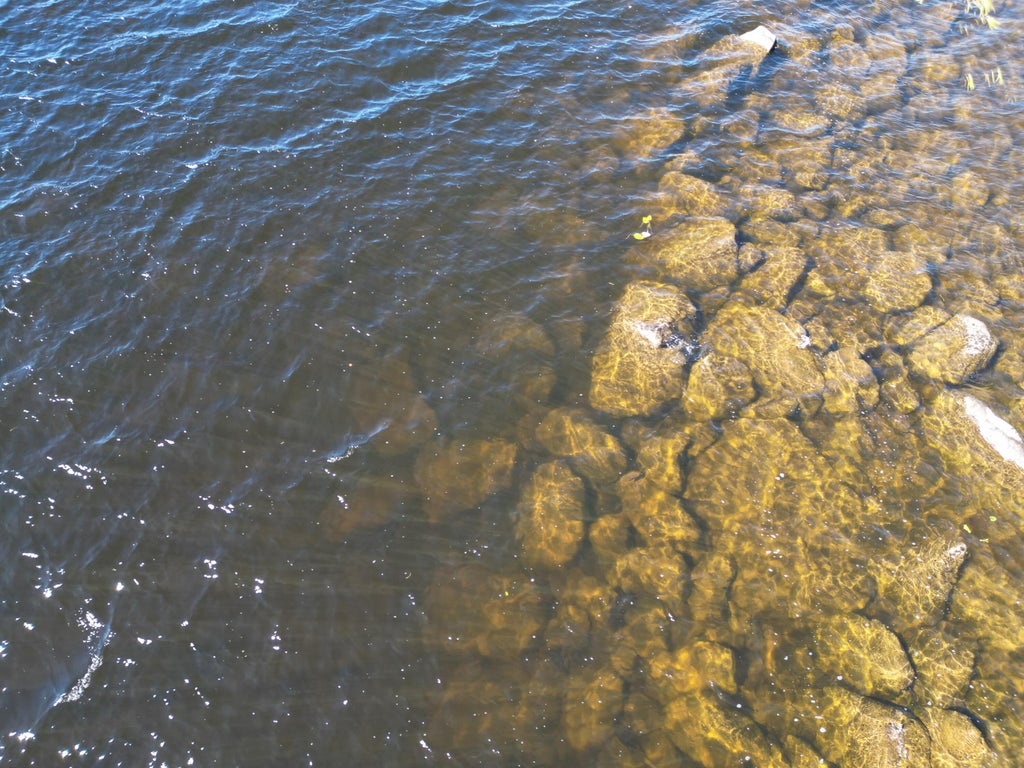 Photo of 30 Merganser Lane, Lincoln, ME 04457 (MLS # 1678708)