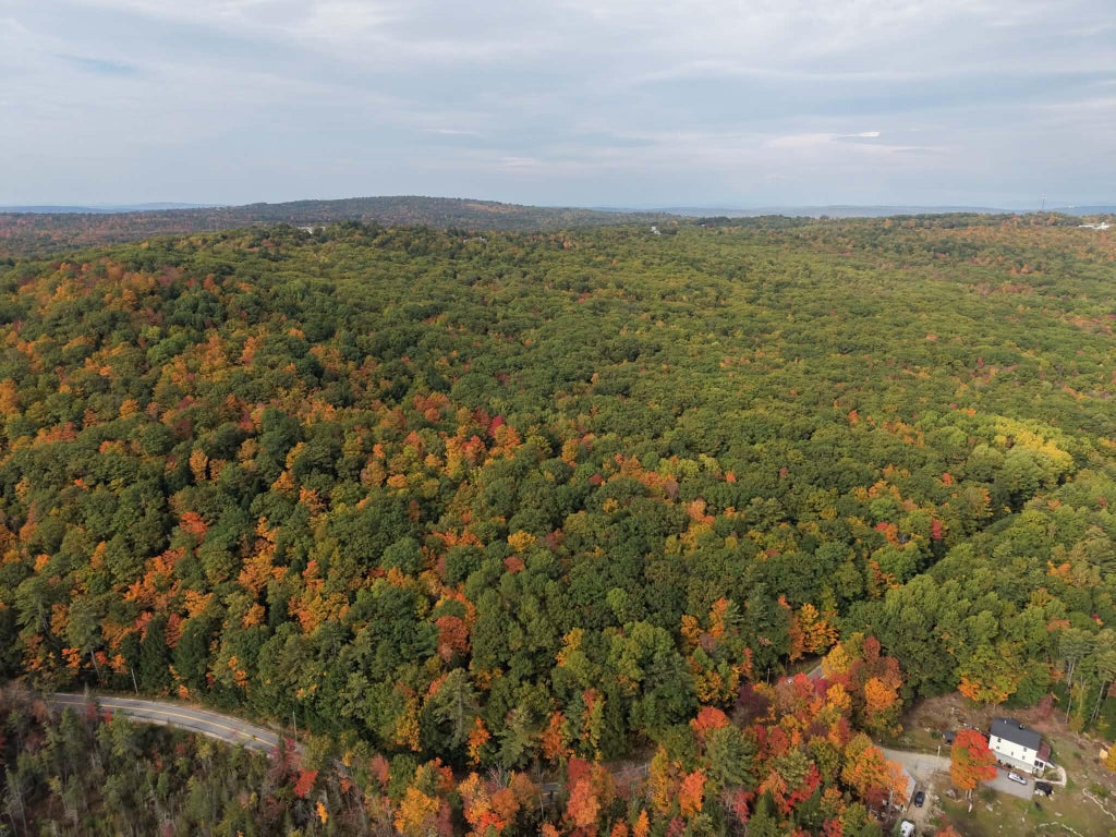 Photo of Lot 21-B Death Valley Road, Minot, ME 04258 (MLS # 1683379)