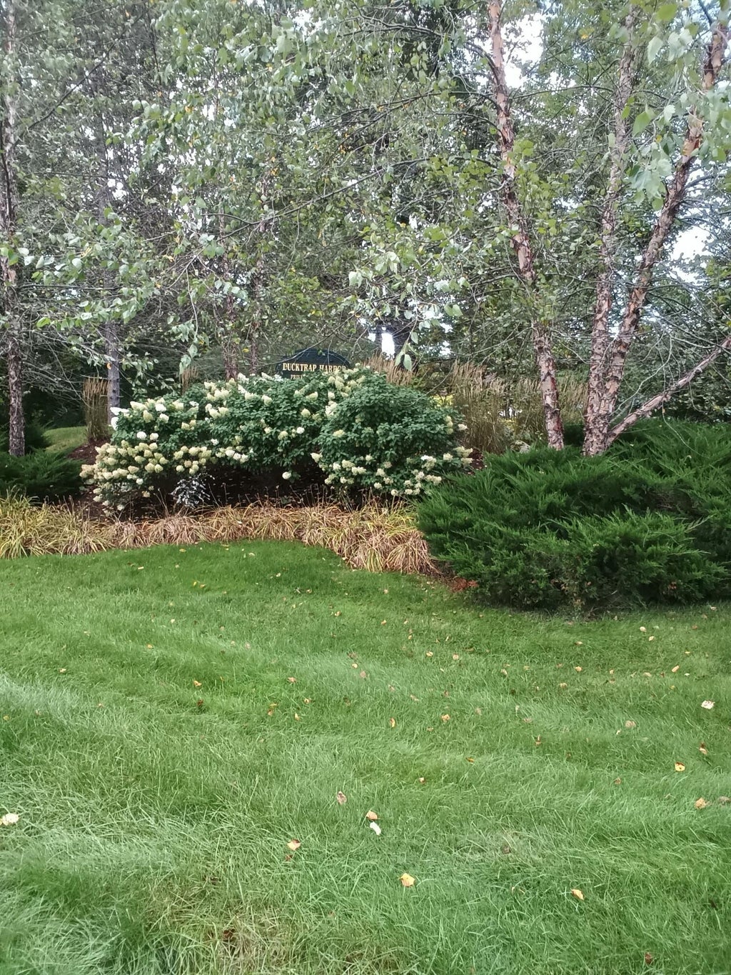 Photo of 13 Harbor Drive #Unit  13, Lincolnville, ME 04849 (MLS # 1681560)