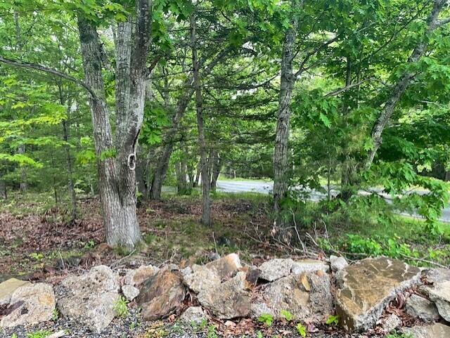 Photo of 346 N Shore Drive, Owls Head, ME 04854 (MLS # 1666790)