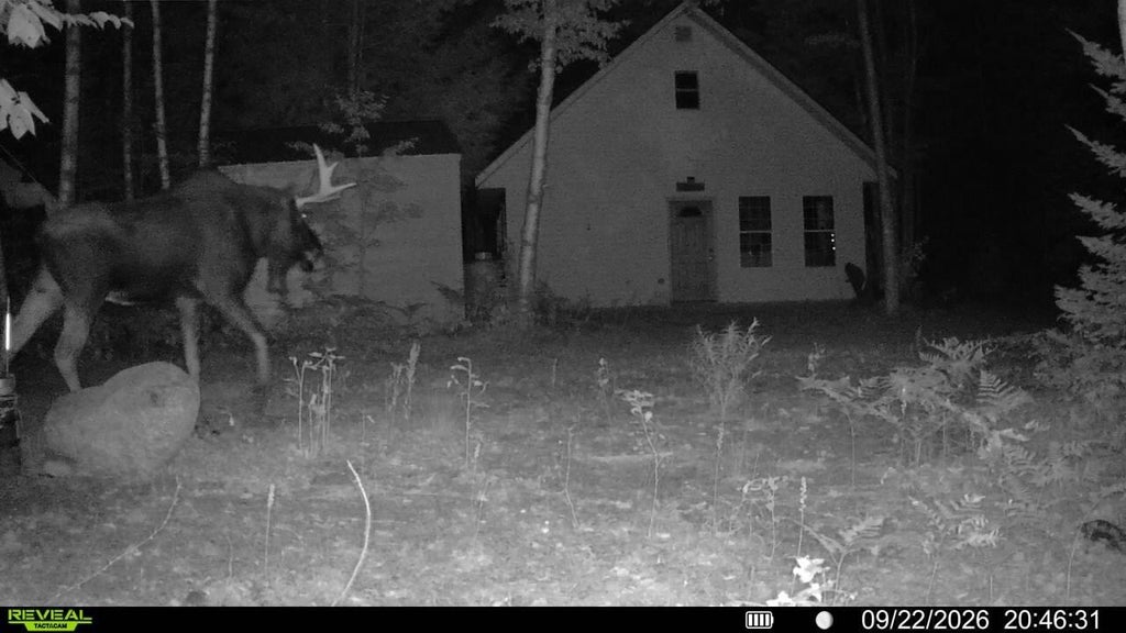 Photo of Off Route 192, Wesley, ME 04686 (MLS # 1667548)