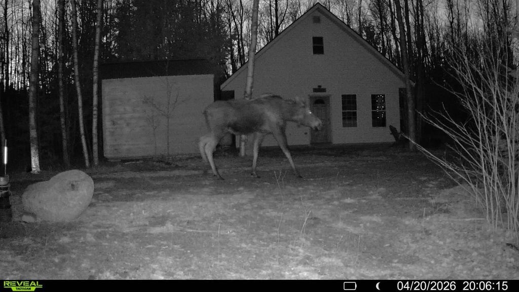 Photo of Off Route 192, Wesley, ME 04686 (MLS # 1667548)