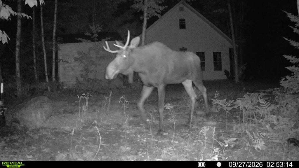 Photo of Off Route 192, Wesley, ME 04686 (MLS # 1667548)