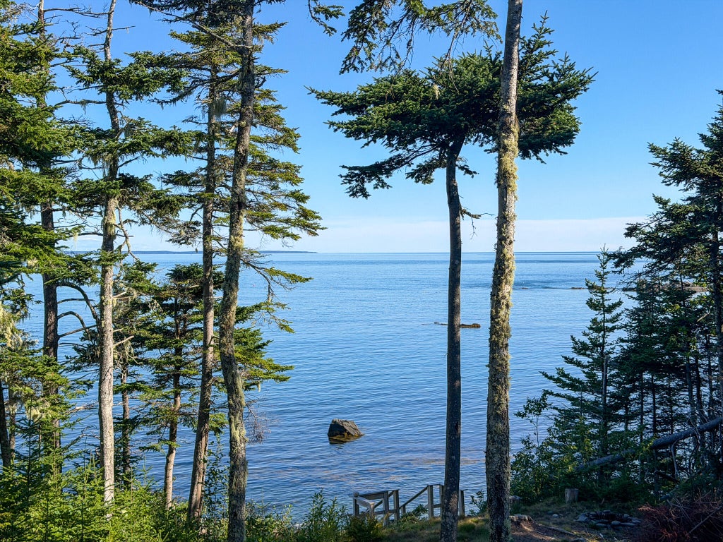 Photo of 128 Havenhurst Road, Trescott Twp, ME 04652 (MLS # 1681052)