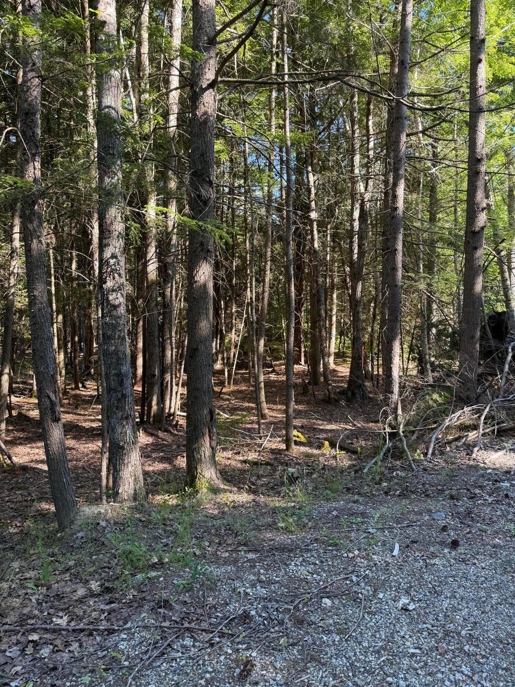 Photo of Lot # 23 Wilderness Drive, Boothbay, ME 04537 (MLS # 1674011)