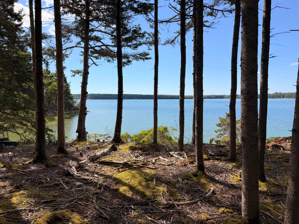 Photo of 119 Flye Point Road, Brooklin, ME 04616 (MLS # 1683656)