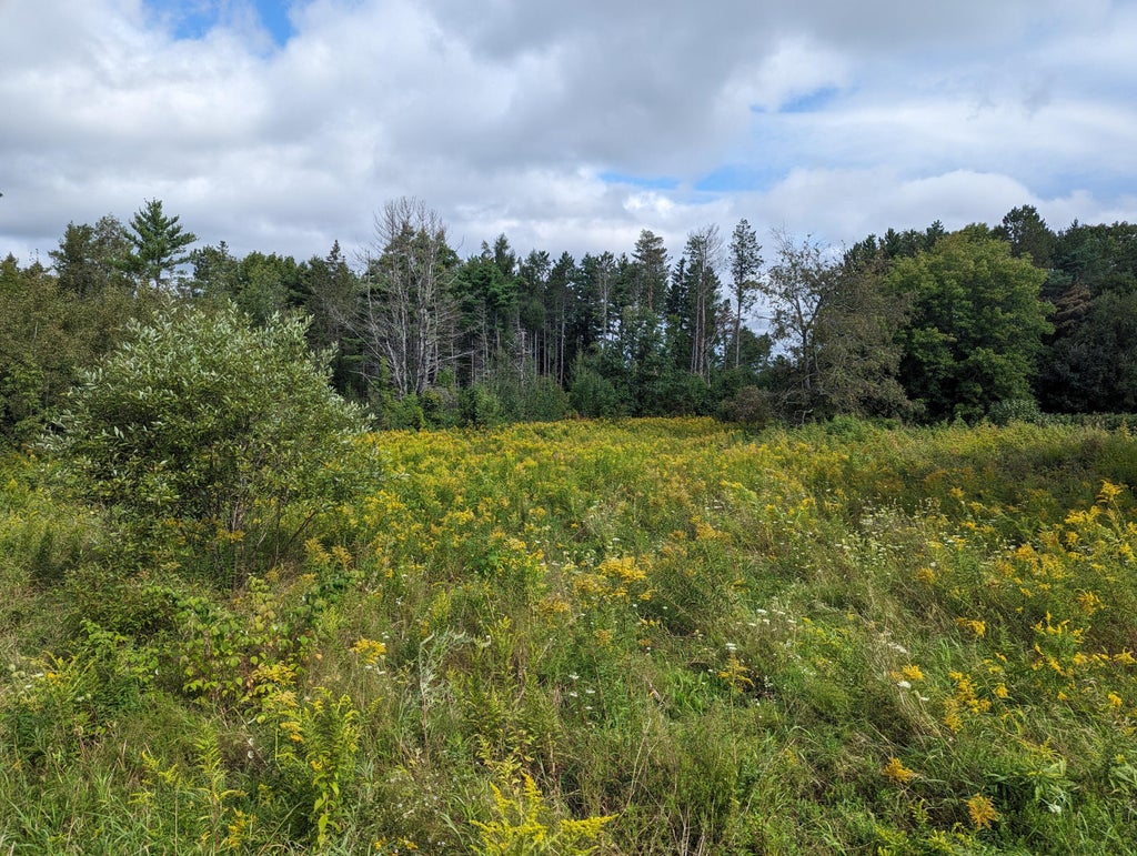 Photo of TBD Western Avenue, Hampden, ME 04444 (MLS # 1683199)