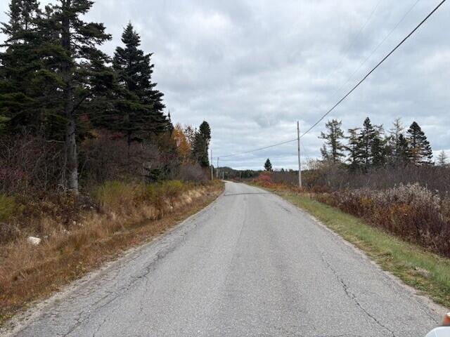 Photo of M1 L25 E+I Boot Cove Road, Lubec, ME 04652 (MLS # 1659481)