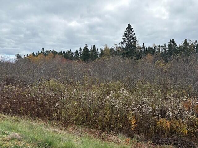 Photo of M1 L25 E+I Boot Cove Road, Lubec, ME 04652 (MLS # 1659481)