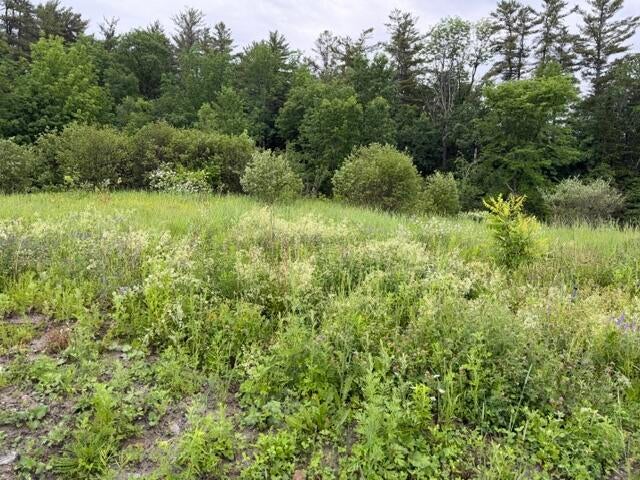 Photo of 102 Fieldstone Drive, Augusta, ME 04330 (MLS # 1667922)