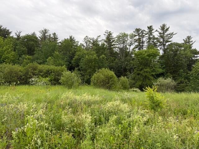 Photo of 102 Fieldstone Drive, Augusta, ME 04330 (MLS # 1667922)