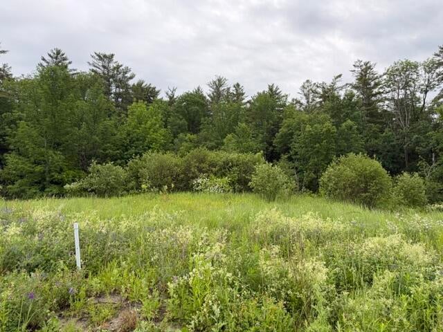 Photo of 102 Fieldstone Drive, Augusta, ME 04330 (MLS # 1667922)