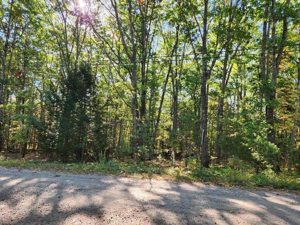 Photo of 24 Palmer Hill Road, Nobleboro, ME 04555 (MLS # 1659735)