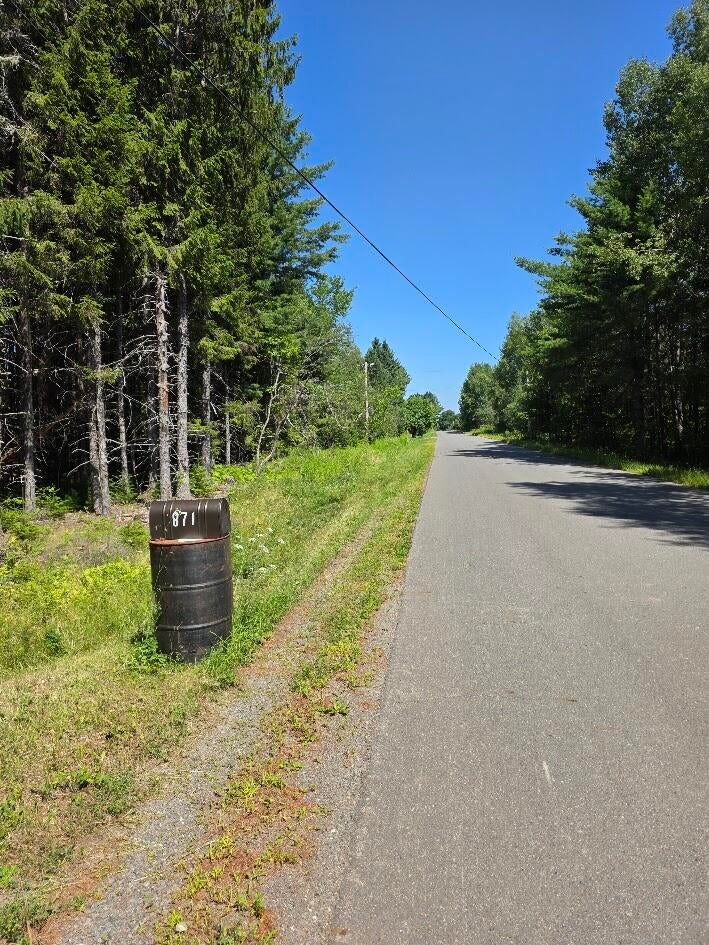 Photo of 871 Estabrook Road, Amity, ME 04471 (MLS # 1674226)