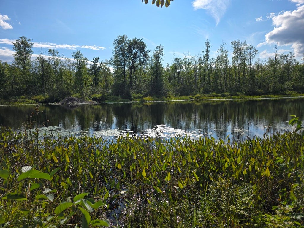 Photo of M9 L29 B Beckwith Road, Cornville, ME 04976 (MLS # 1677945)