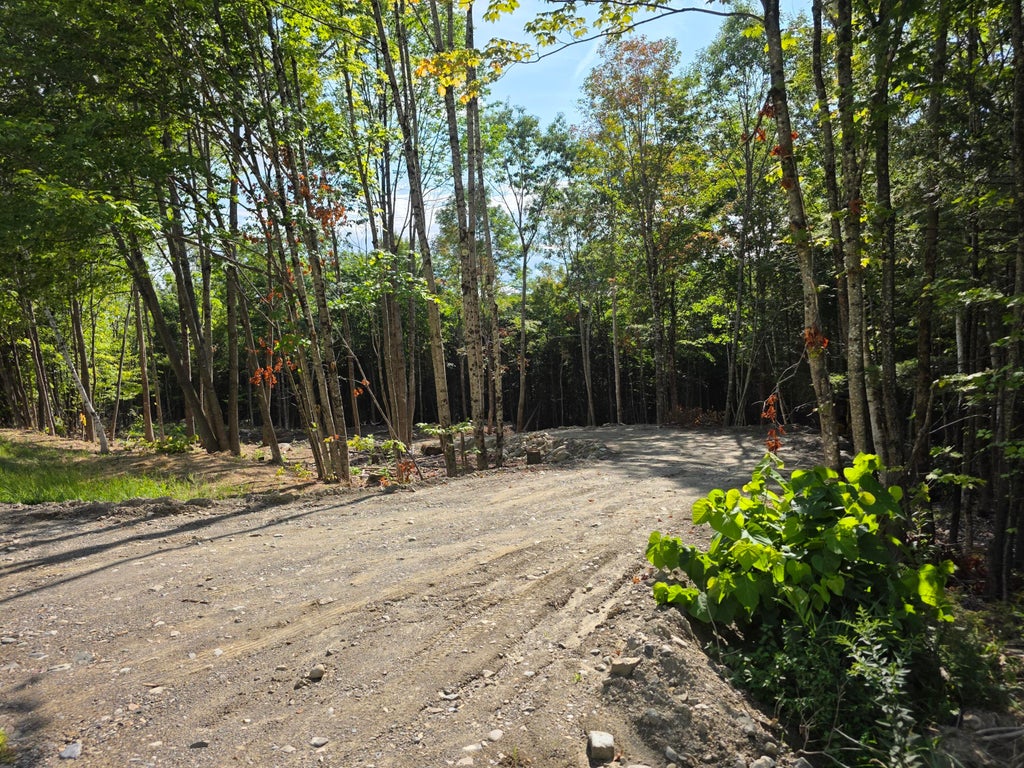 Photo of M9 L29 B Beckwith Road, Cornville, ME 04976 (MLS # 1677945)