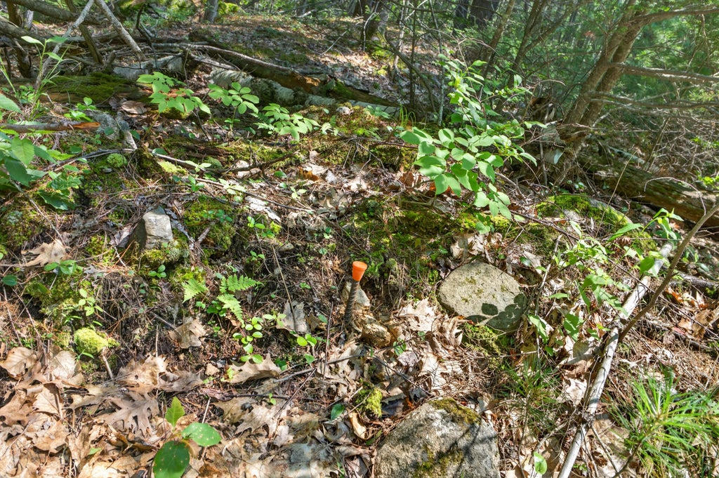 Photo of 81 Mountain Road #Lot A, York, ME 03902 (MLS # 1671125)