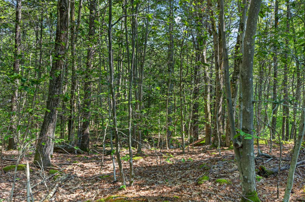 Photo of 81 Mountain Road #Lot A, York, ME 03902 (MLS # 1671125)