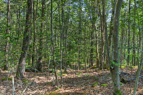 Photo of 81 Mountain Road #Lot A, York, ME 03902 (MLS # 1671125)