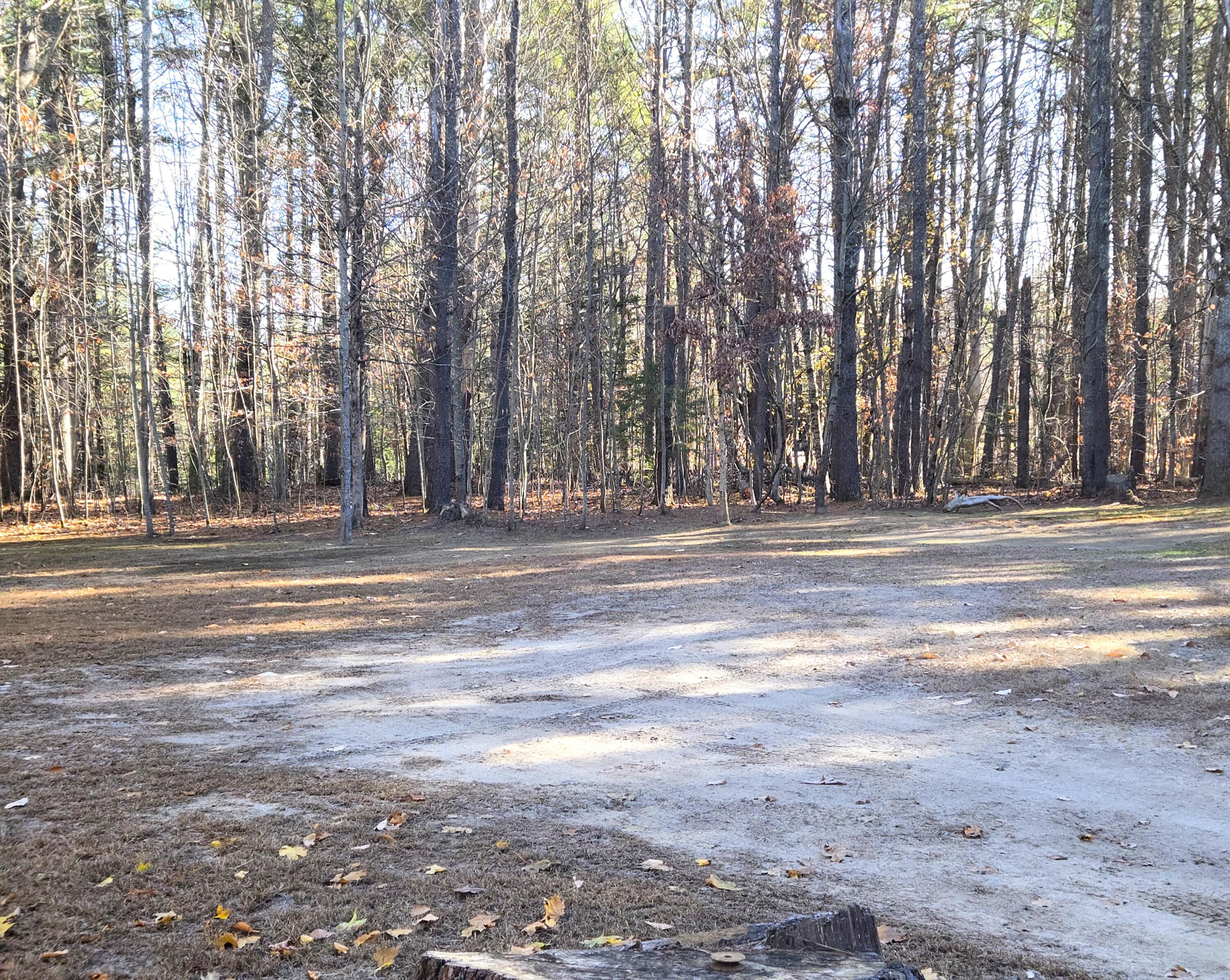 31 Sand Road