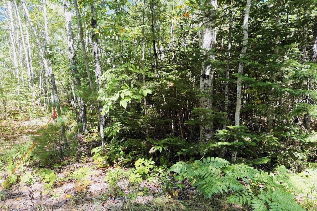 Photo of Lot 00500E West Hamlet Road, Newcastle, ME 04553 (MLS # 1678611)