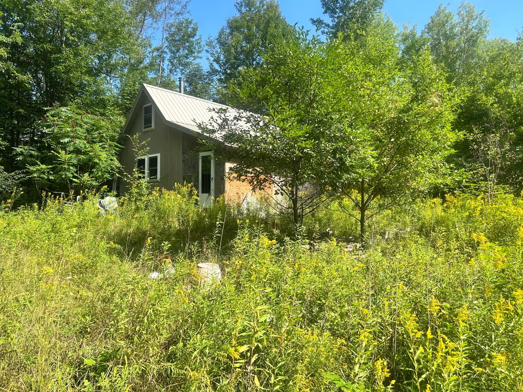 Photo of 116 Castle Road, Harmony, ME 04942 (MLS # 1679453)