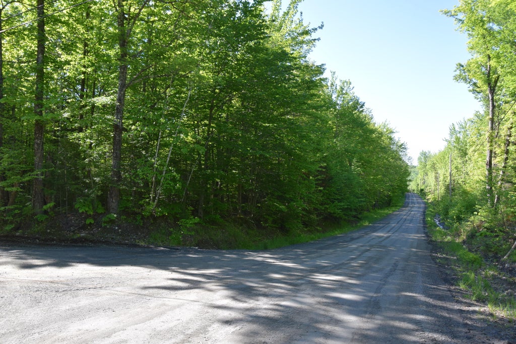 Photo of M10 L6-1 Hancock Pond Road, Embden, ME 04958 (MLS # 1665408)