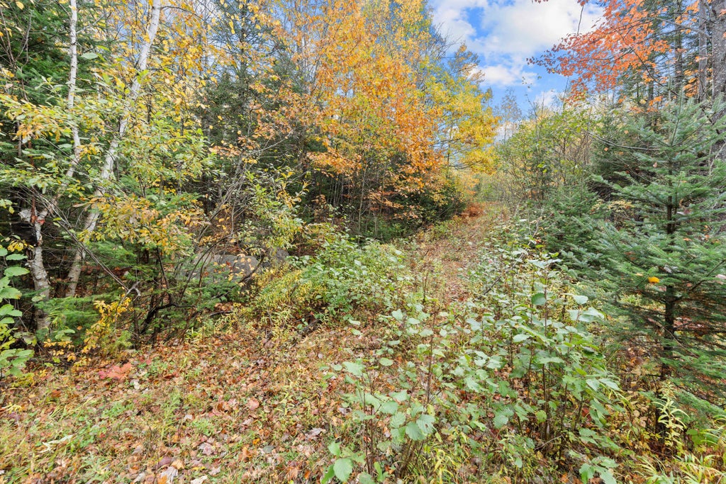 Photo of Lot #41-02 Forest Brook Drive, Abbot, ME 04406 (MLS # 1684647)