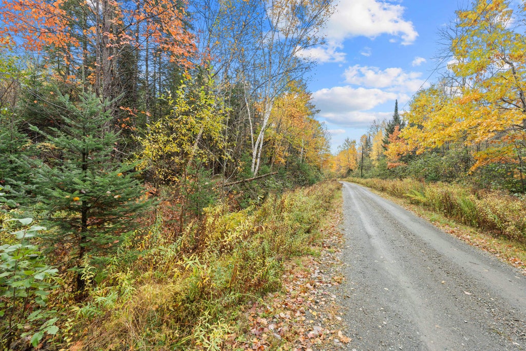 Photo of Lot #41-02 Forest Brook Drive, Abbot, ME 04406 (MLS # 1684647)