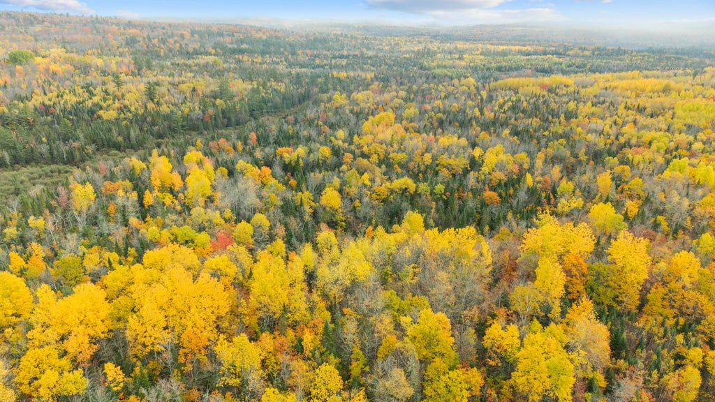 Photo of Lot #41-02 Forest Brook Drive, Abbot, ME 04406 (MLS # 1684647)