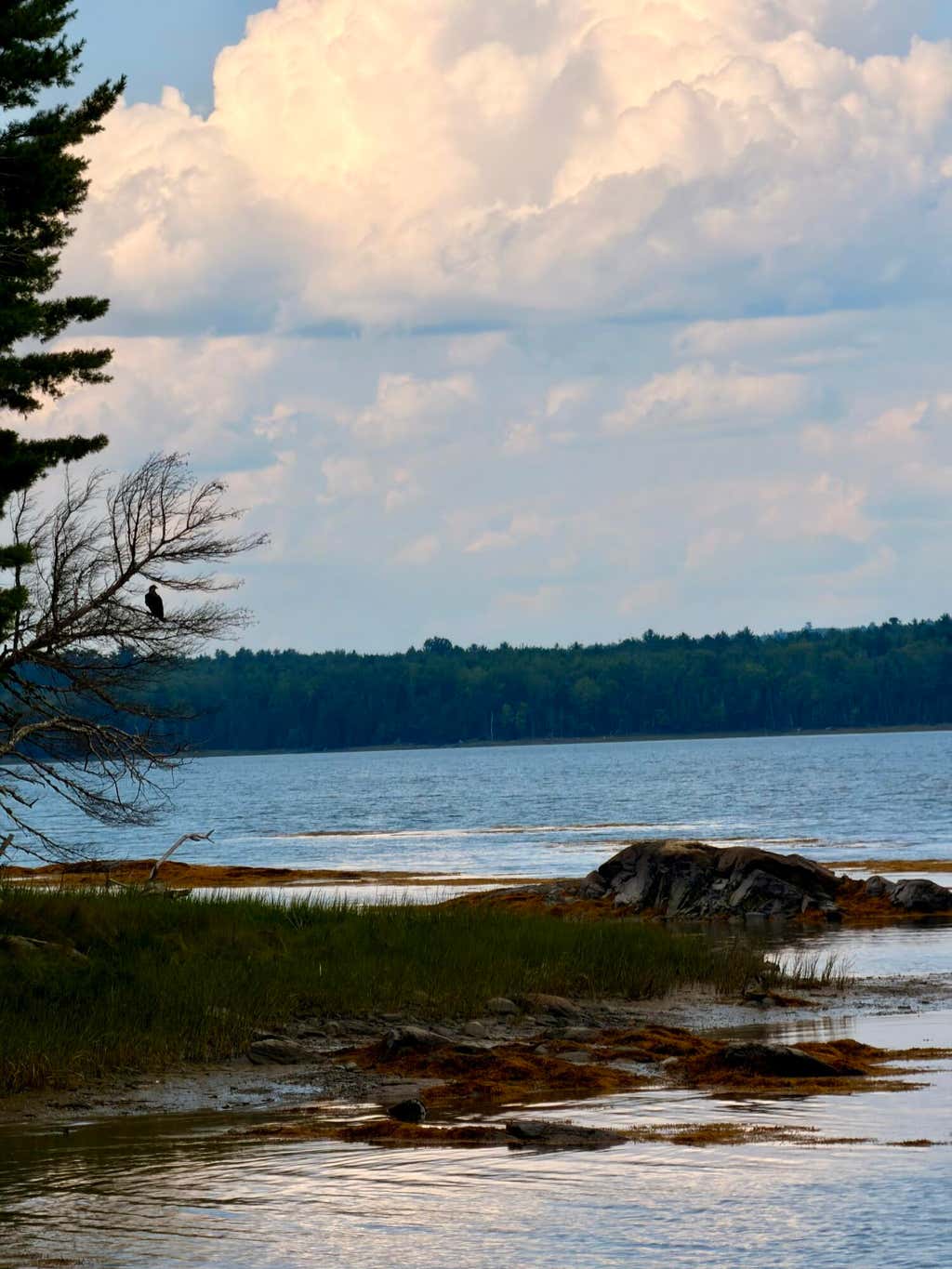 Photo of 54 Landing Road S, Hancock, ME 04640 (MLS # 1676193)