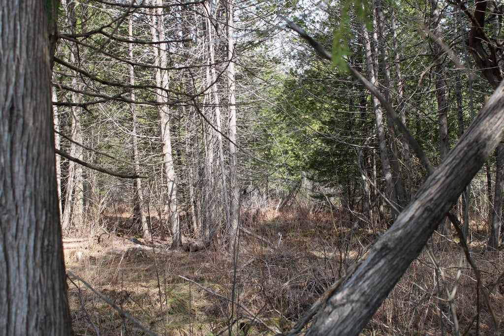 Photo of M1 L271 West Ripley Road, Ripley, ME 04930 (MLS # 1683499)