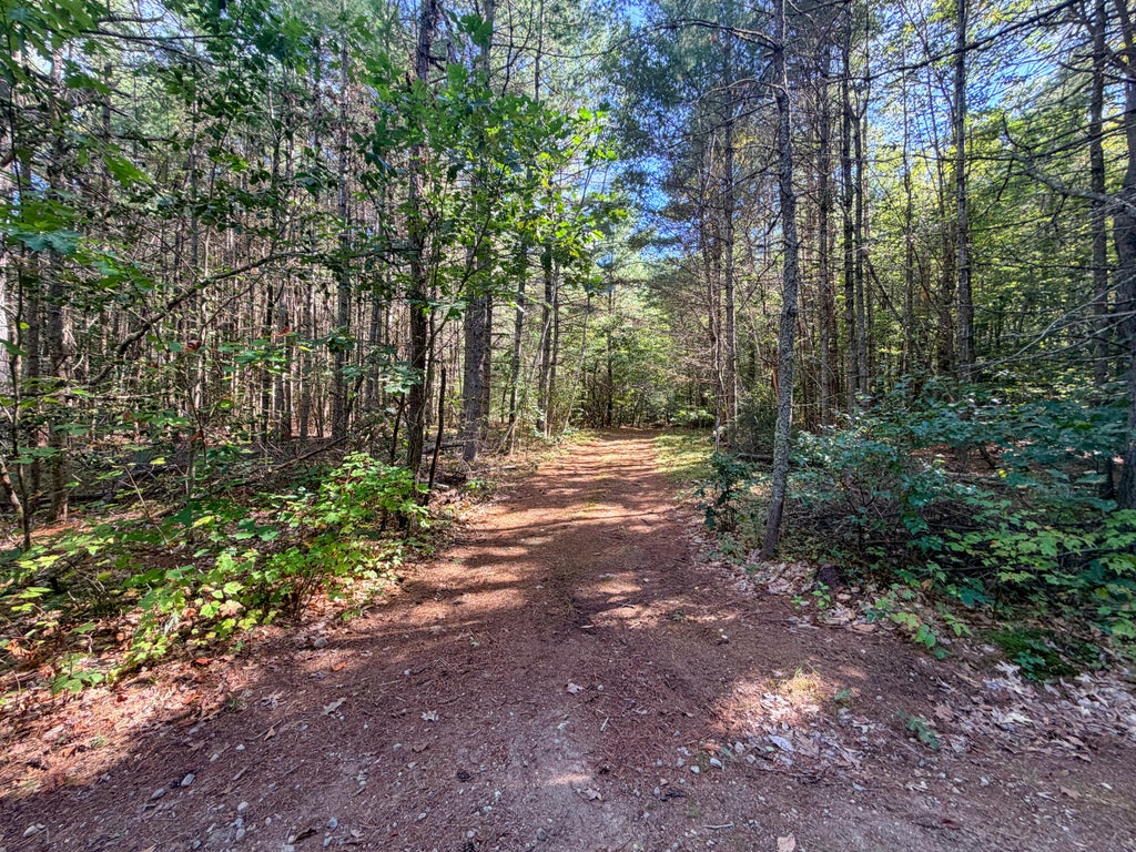 Photo of Lot 5 Laroche Drive, Alfred, ME 04002 (MLS # 1680817)